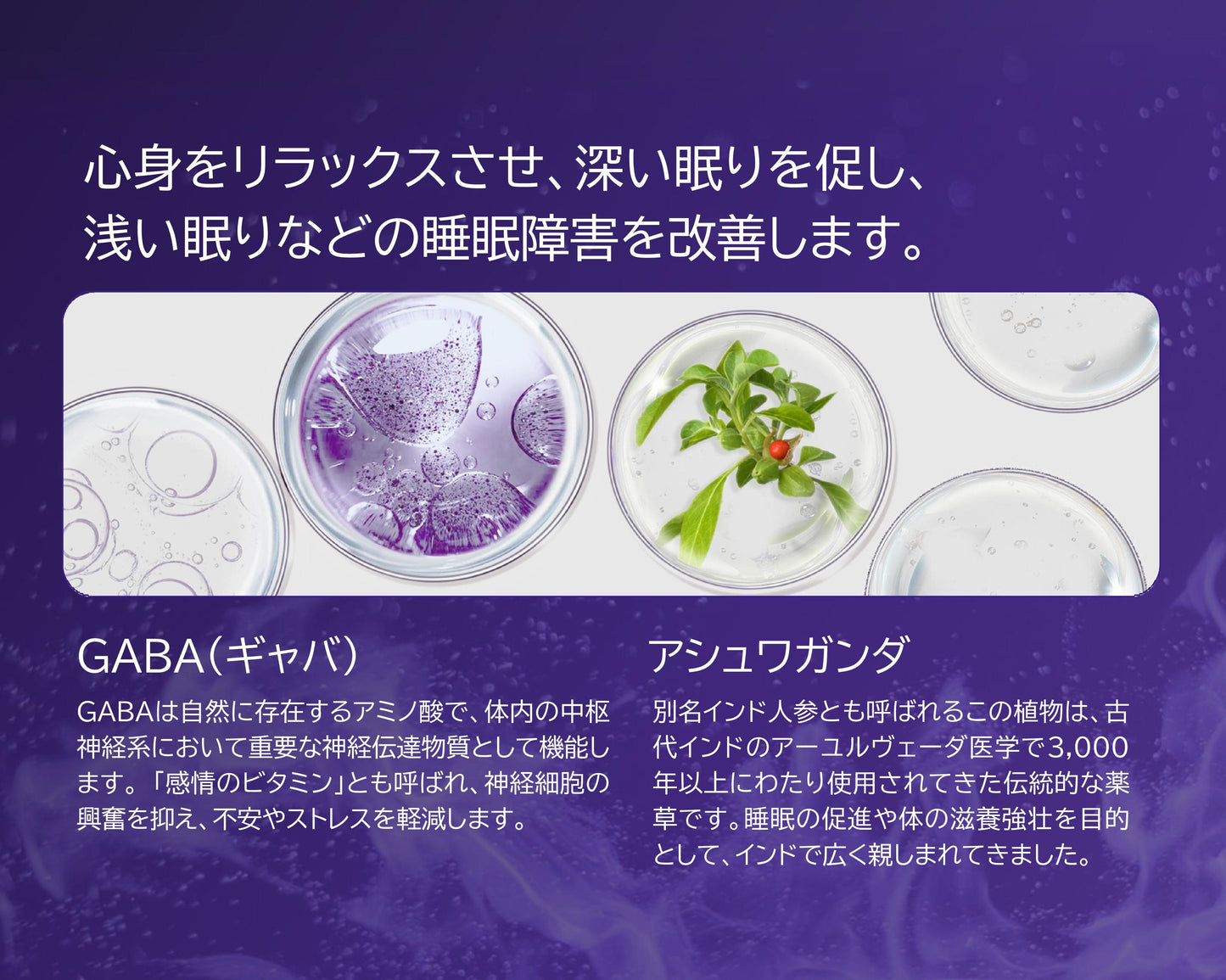 燃|わさびの葉で夜間燃焼サポート