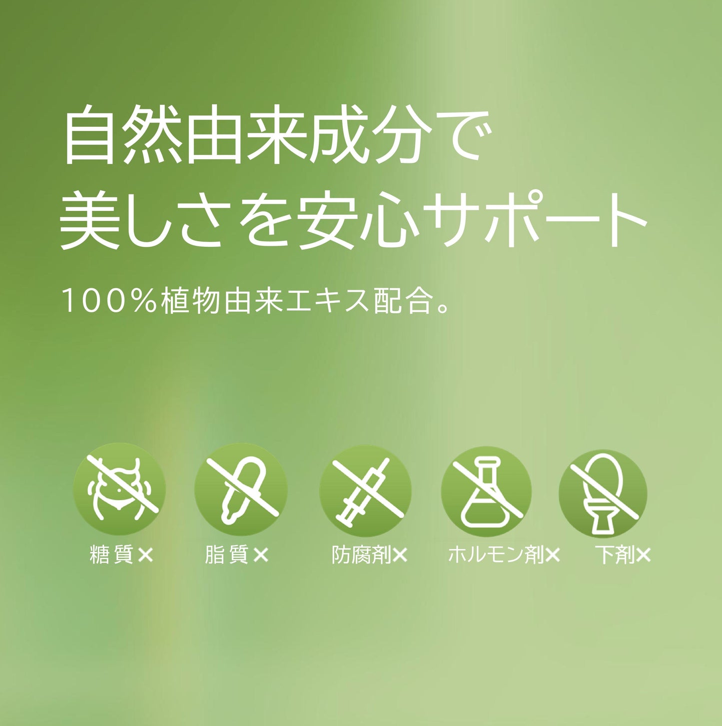 燃|ガルシニアで燃焼サポート