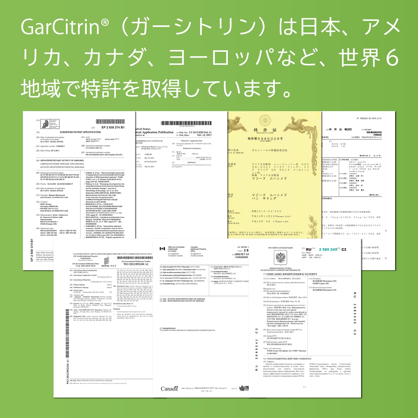 燃｜ガルシニアで燃焼サポート