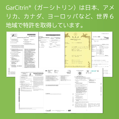 燃｜ガルシニアで燃焼サポート