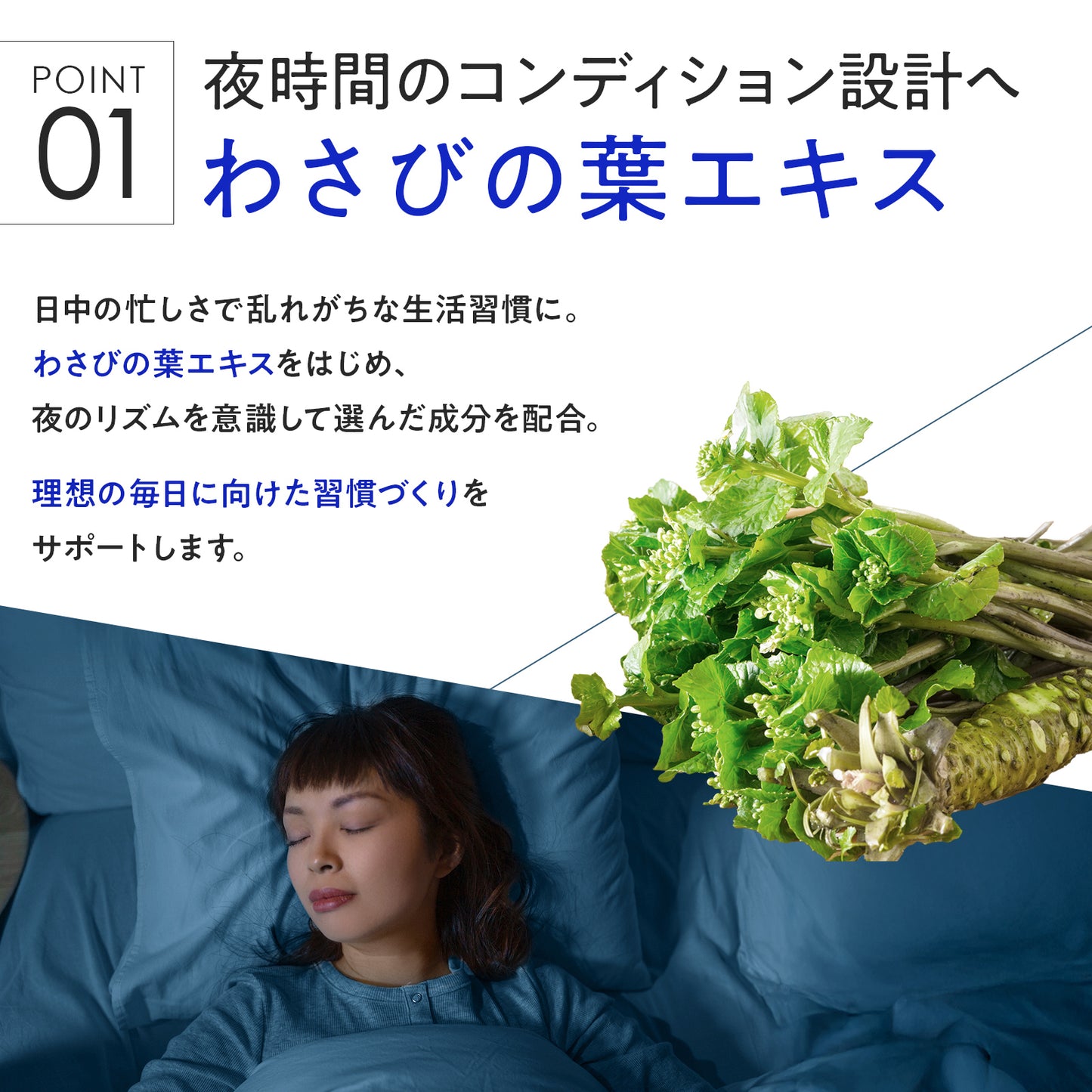 燃｜わさびの葉で夜間燃焼サポート