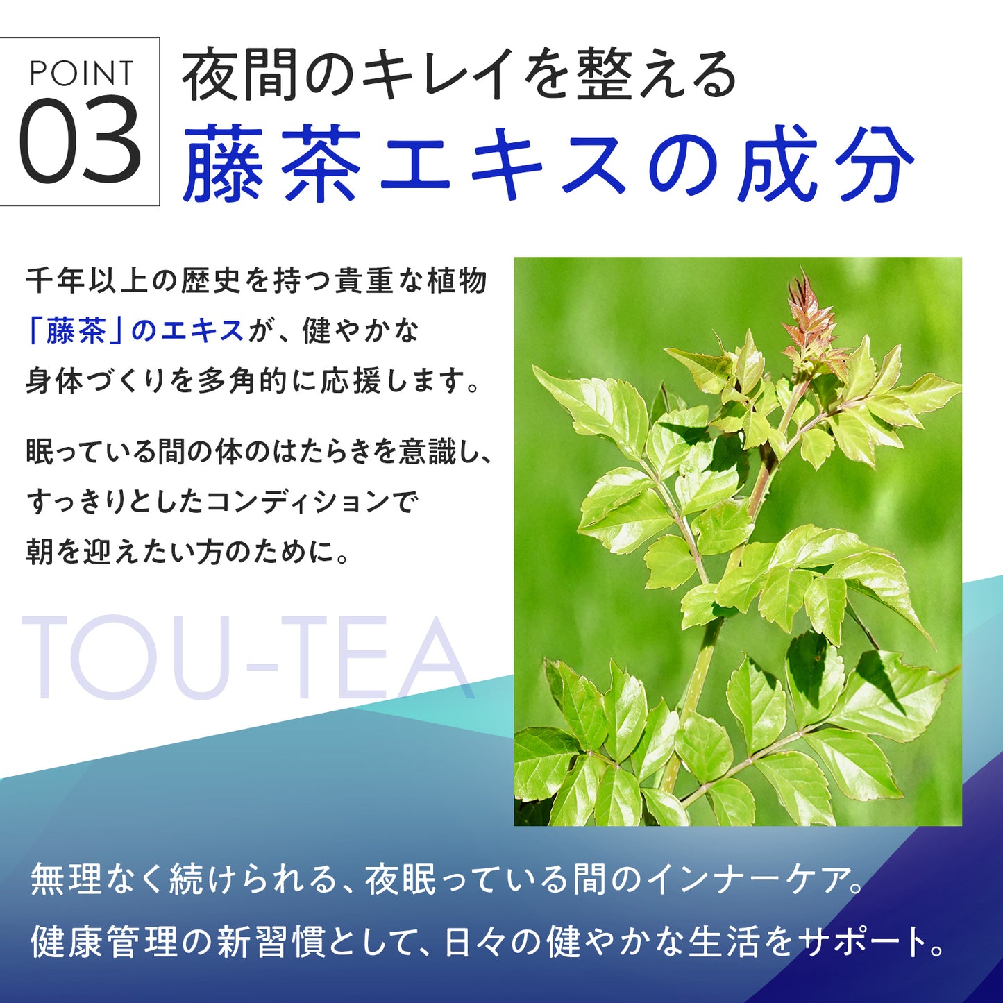 燃｜わさびの葉で夜間燃焼サポート