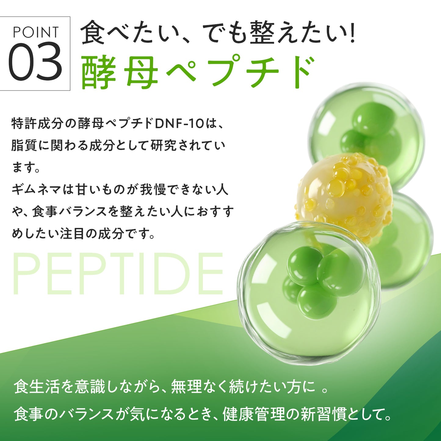 燃｜ガルシニアで燃焼サポート