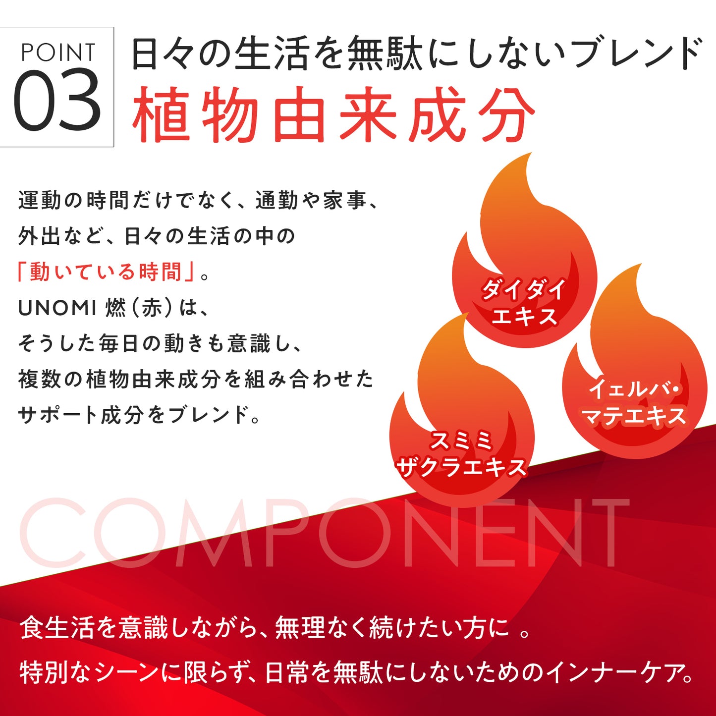 燃｜ギニアショウガで運動燃焼サポート