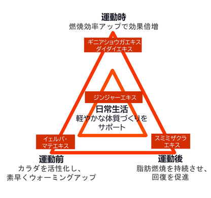 燃｜ギニアショウガで運動燃焼サポート